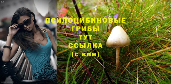 молекула духа Балабаново