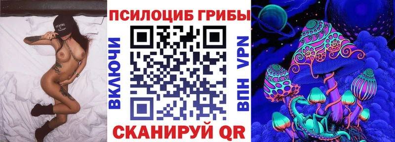 Псилоцибиновые грибы Magic Shrooms  mega рабочий сайт  Ельня  цены  